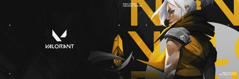Natus Vincere officially enters VALORANT