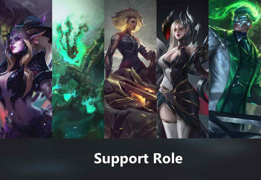 Support Role Image