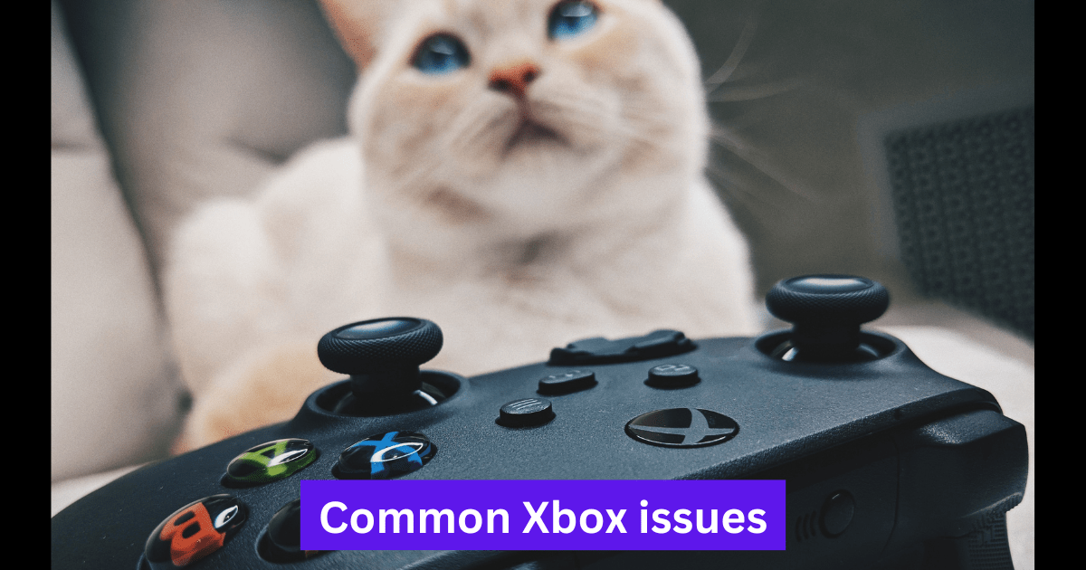 Common Xbox issues